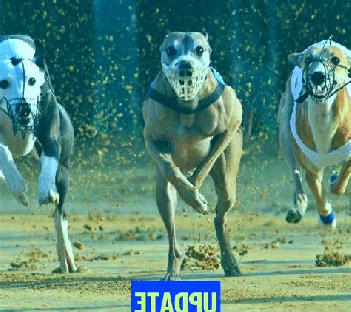 7 Lucky Dwarfs online slot