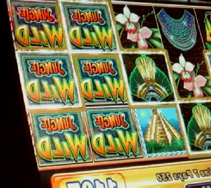 Aloha Wild slot machine
