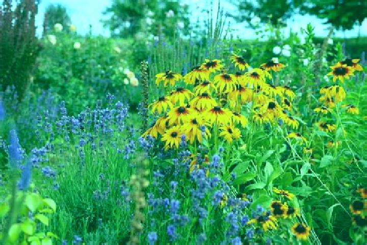 Book of Bloodlines online slot