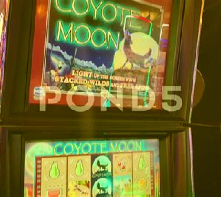 Coin Gobbler slot