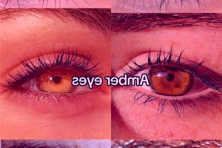 Enchanted Cash slot game