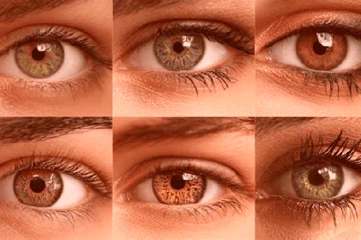Gladiator JP slot machine