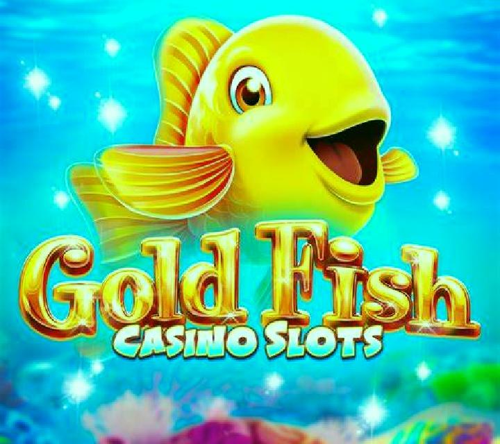 Hold Em Poker (Microgaming) slot game