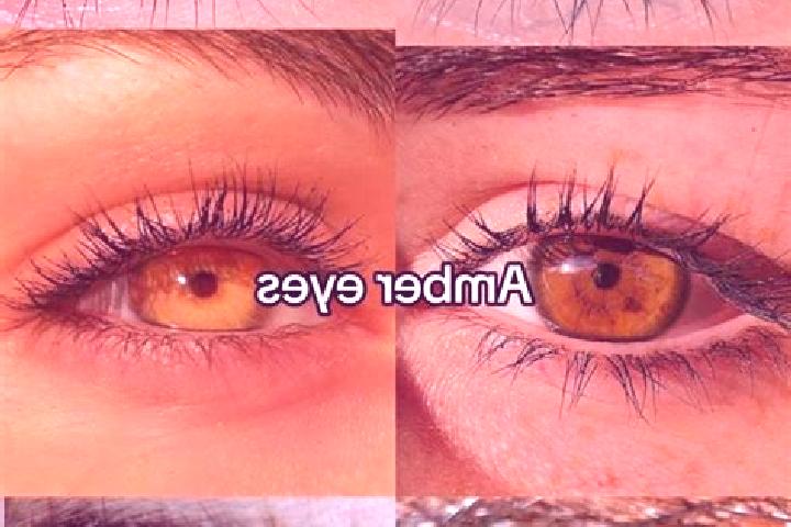 John Hunter And The Book Of Tut slot game