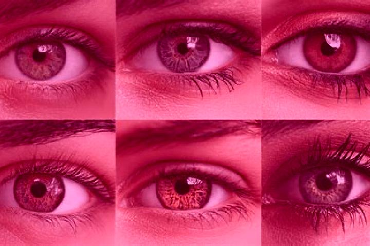Phoenix Hotfire Hold and Win slot game