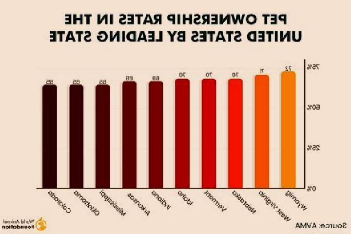 Pure Jewels slot game