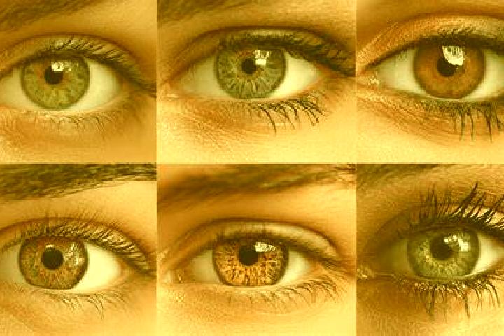 Samurai Dynasty slot game