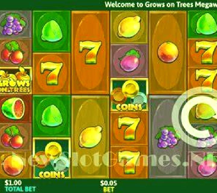Small Fortune slot