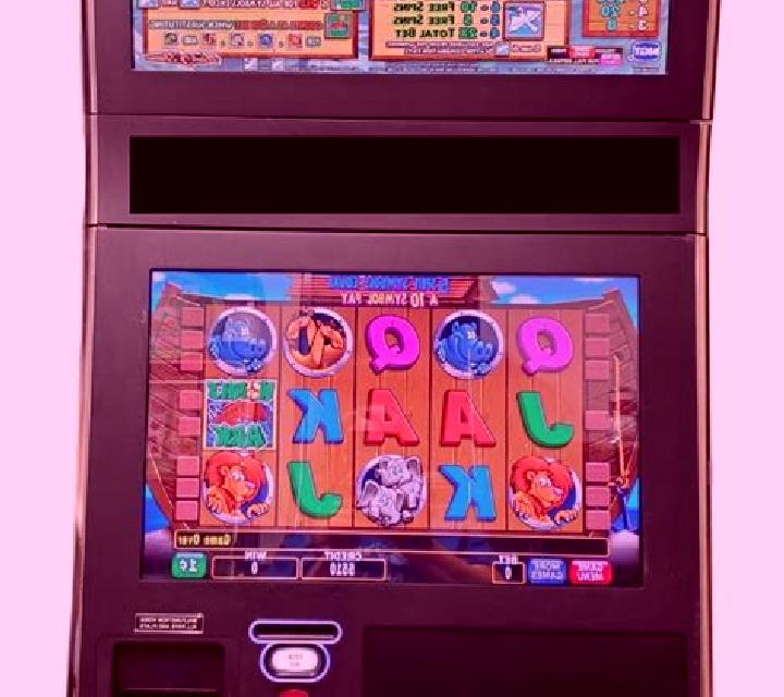 Teekai 3 Cards Pattaya slot game