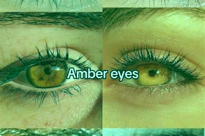 The Living Dead slot machine