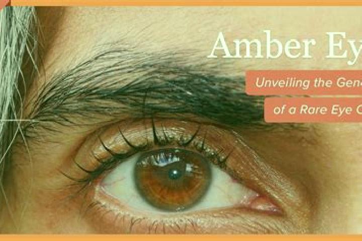 The Shining Globe slot machine